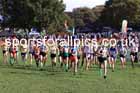 Girls under-15s, 2024 Northern Cross Country Relays, Graves Park, Sheffield.   Photo: David T. Hewitson/Sports for All Pics